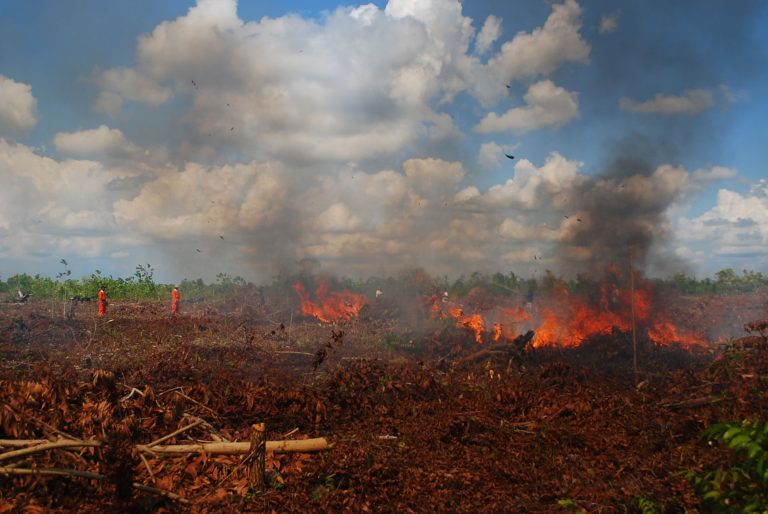 Kebakaran hutan dan lahan (karhutla) di Provinsi Riau masih menjadi ancaman serius dengan dampak luas terhadap kesehatan, lingkungan, dan ekonomi masyarakat.